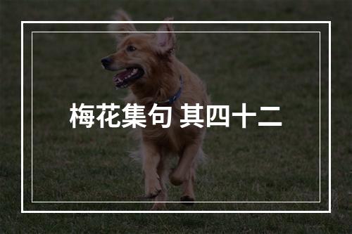 梅花集句 其四十二