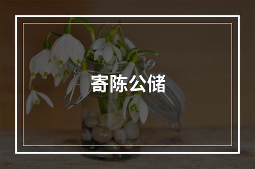 寄陈公储