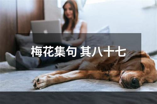 梅花集句 其八十七