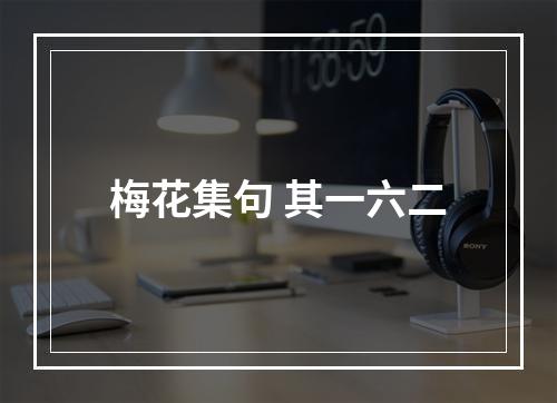 梅花集句 其一六二