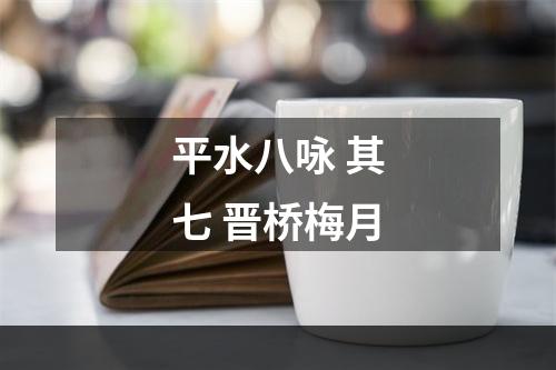 平水八咏 其七 晋桥梅月