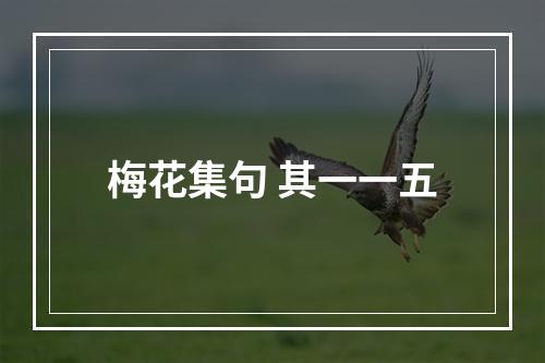 梅花集句 其一一五