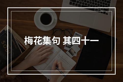 梅花集句 其四十一