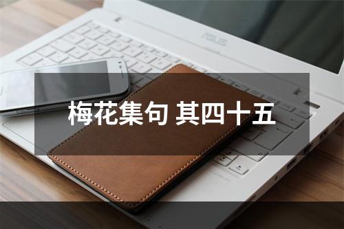 梅花集句 其四十五
