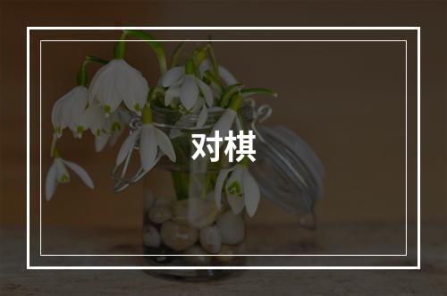 对棋