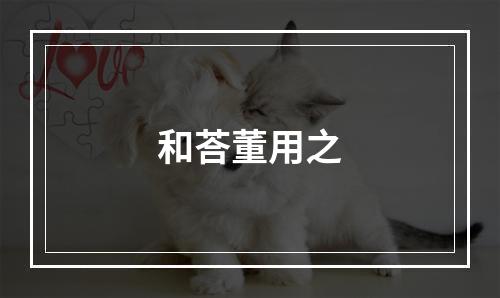 和荅董用之