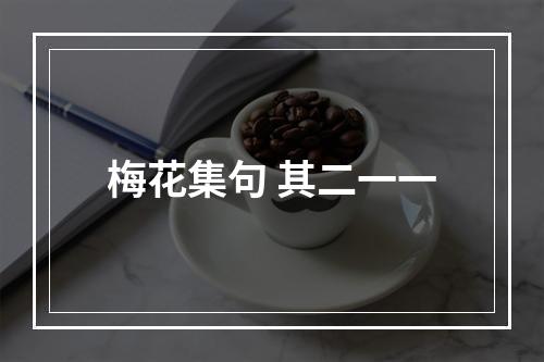 梅花集句 其二一一