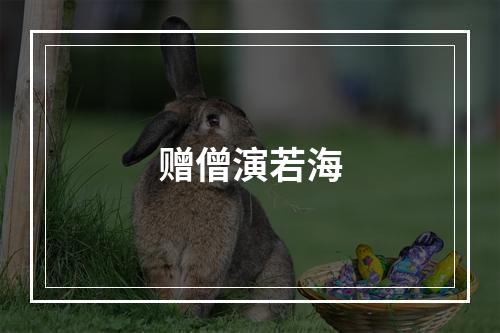 赠僧演若海