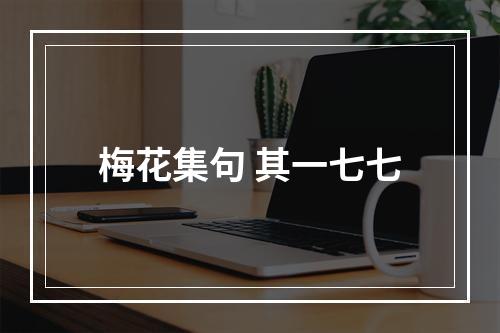 梅花集句 其一七七