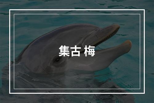 集古 梅
