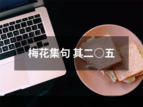 梅花集句 其二○五