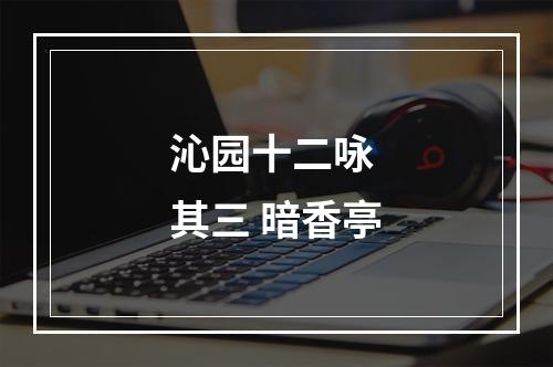 沁园十二咏 其三 暗香亭