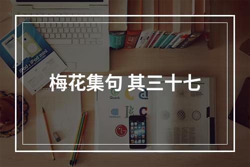 梅花集句 其三十七