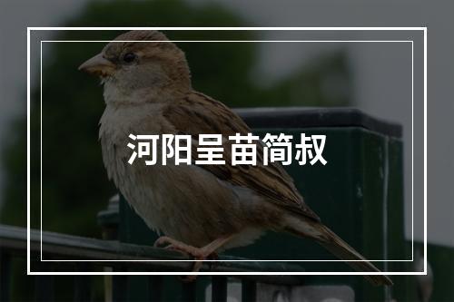 河阳呈苗简叔