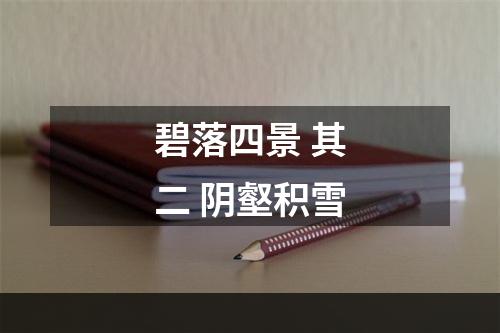 碧落四景 其二 阴壑积雪