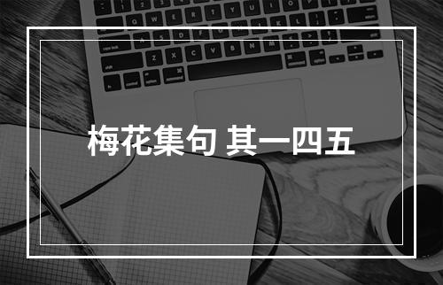 梅花集句 其一四五