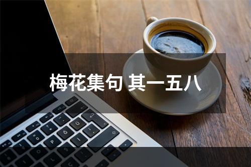 梅花集句 其一五八