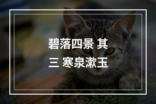 碧落四景 其三 寒泉漱玉