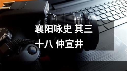 襄阳咏史 其三十八 仲宣井