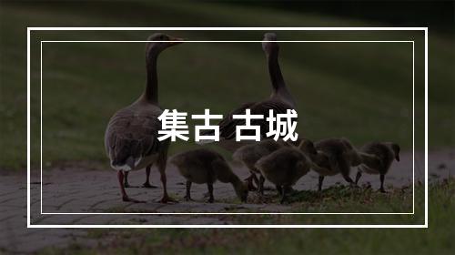 集古 古城