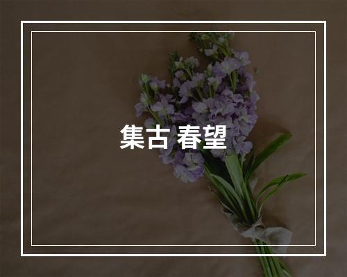 集古 春望