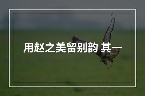 用赵之美留别韵 其一
