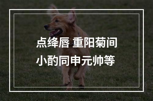 点绛唇 重阳菊间小酌同申元帅等
