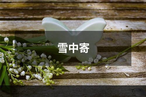 雪中寄