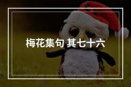 梅花集句 其七十六