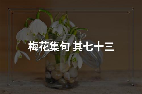 梅花集句 其七十三