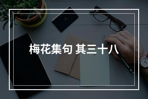 梅花集句 其三十八