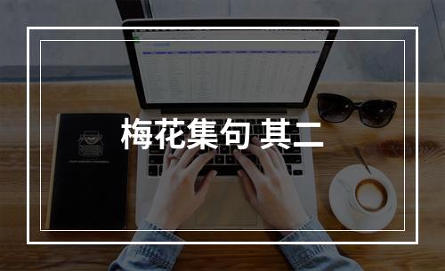 梅花集句 其二