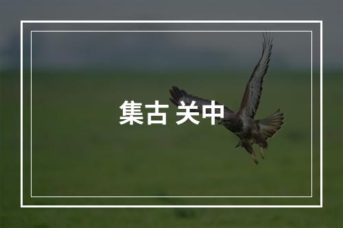 集古 关中