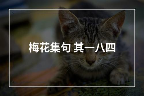 梅花集句 其一八四