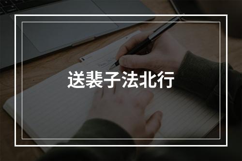 送裴子法北行