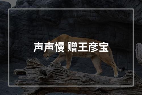 声声慢 赠王彦宝