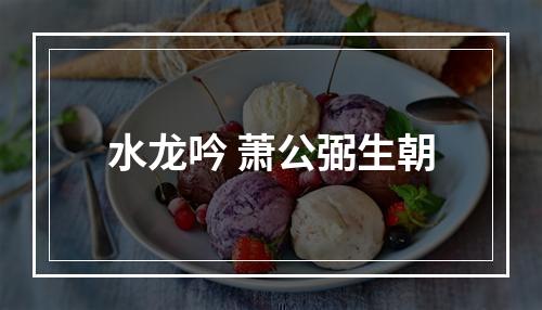 水龙吟 萧公弼生朝