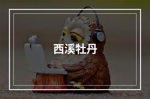 西溪牡丹