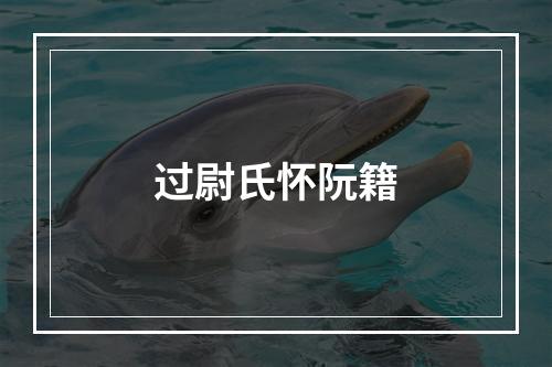 过尉氏怀阮籍