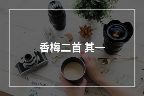 香梅二首 其一