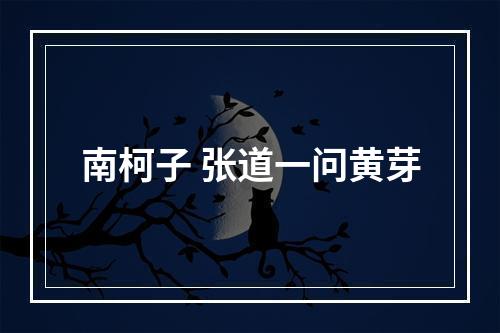 南柯子 张道一问黄芽