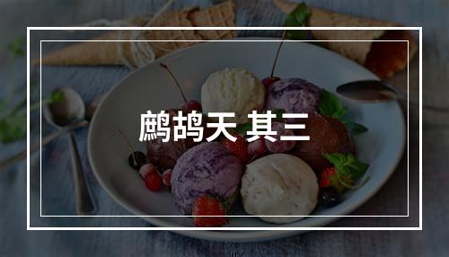 鹧鸪天 其三
