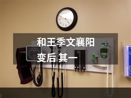 和王季文襄阳变后 其一