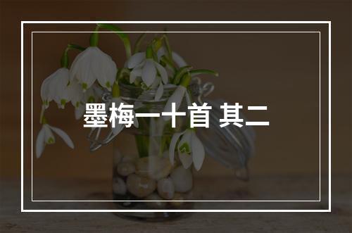 墨梅一十首 其二
