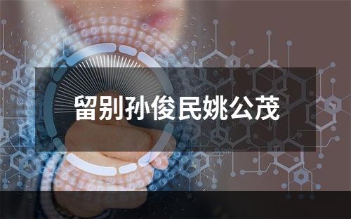 留别孙俊民姚公茂