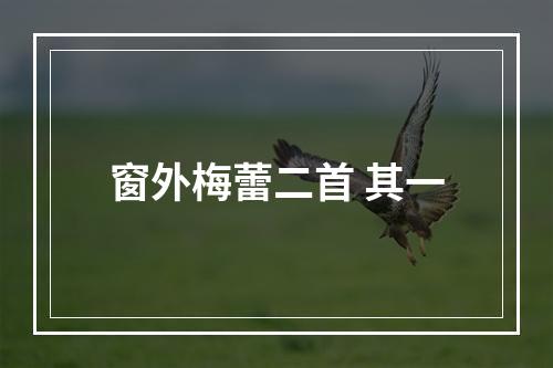 窗外梅蕾二首 其一