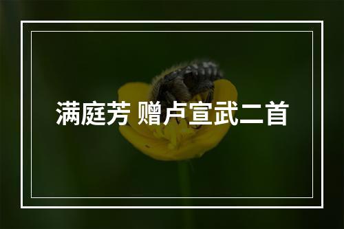 满庭芳 赠卢宣武二首