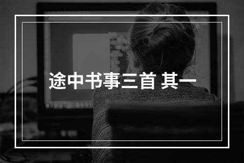 途中书事三首 其一