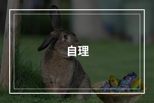 自理