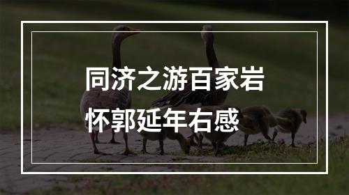 同济之游百家岩怀郭延年右感